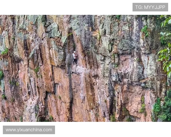 极限运动灵活性排名揭晓上海极限运动队荣获第五名殊荣