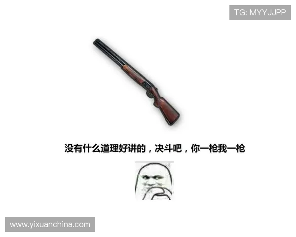 袭击者与枪手的对决背后隐藏的真相与社会影响分析 袭击者与枪手的对决背后隐藏的真相与社会影响分析