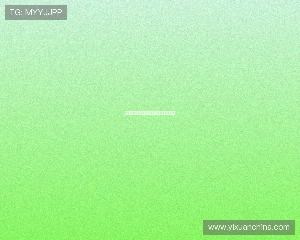 杭州街舞队包夹革新之路探索与发展全景解析